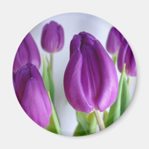 Lavender Tulips Magnet