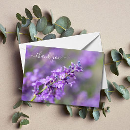 Lavender Vielen Dank