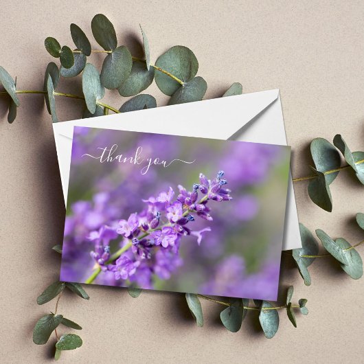 Lavender Vielen Dank