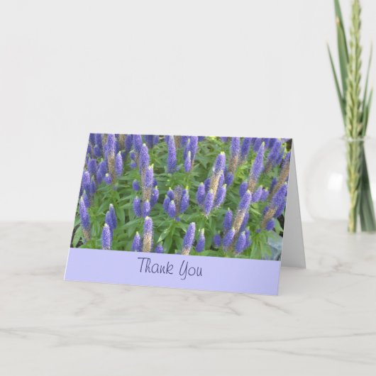 Lavender Vielen Dank Dankeskarte (Vorderseite)