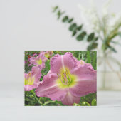 Lavender Vista-Taglilie Postkarte (Stehend Vorderseite)