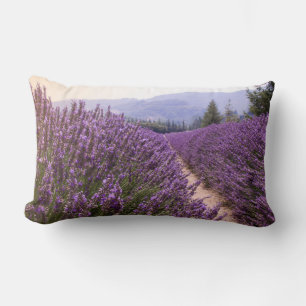 Lavenderfeldpolster Lendenkissen