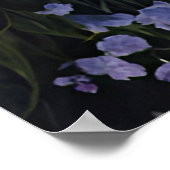 Lavendertal bei Morgendämmerung Poster (Ecke)