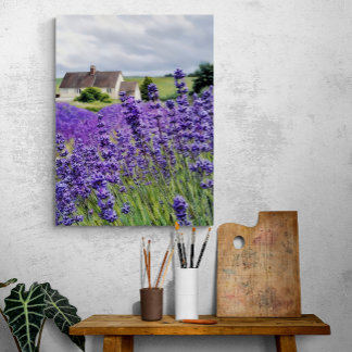 Lavenderträume Leinwanddruck