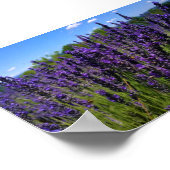 Lavenfarm Poster (Ecke)
