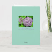 LAVENTIUM /DANK/KUNSTBAR DANKESKARTE (Rückseite)