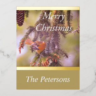 LavishlyOn Monogram Red Bird Pine Tree Branch Folien Feiertagspostkarte