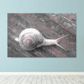 LavishyOn Modern Pink Gray Snail on Sidewalk Leinwanddruck (Insitu (Holzboden))