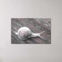 LavishyOn Modern Pink Gray Snail on Sidewalk