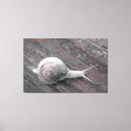 LavishyOn Modern Pink Gray Snail on Sidewalk Leinwanddruck