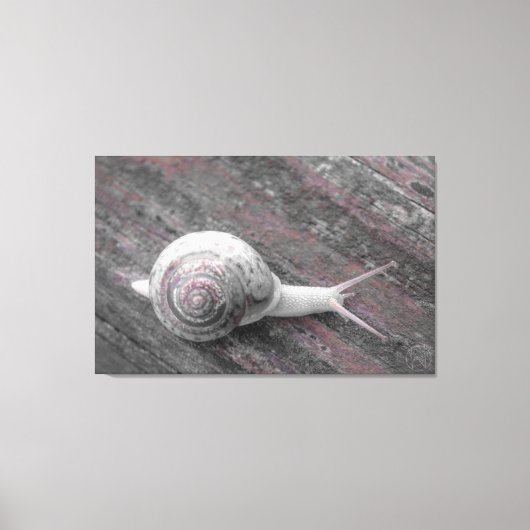 LavishyOn Modern Pink Gray Snail on Sidewalk Leinwanddruck (Vorderseite)
