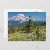 Lawinenliken und Berg Rainier Postkarte (Vorne/Hinten)