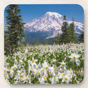Lawinenlilie und Rainier 2 Untersetzer