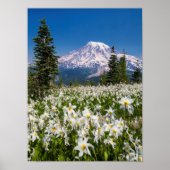 Lawinenlilien und Berg Rainier 2 Poster (Vorne)