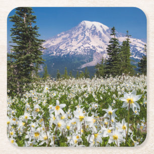 Lawinenlilien und Mount Rainier 2 Rechteckiger Pappuntersetzer
