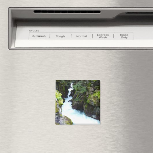 Lawinenschlucht I im Glacier-Nationalpark Magnet (In Situ (Geschirrspüler))