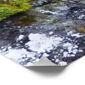 Lawinenschlucht I im Glacier-Nationalpark Poster (Ecke)