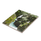 Lawinenschlucht II am Glacier-Nationalpark Fliese (Seite)