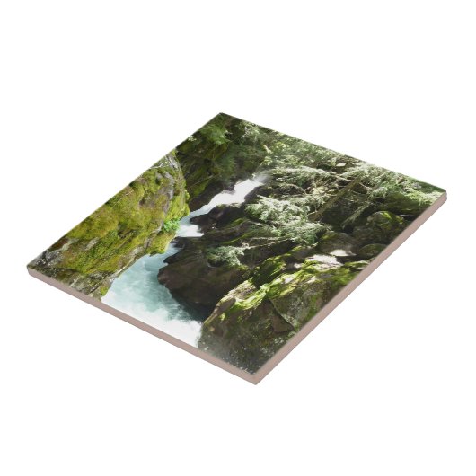 Lawinenschlucht II am Glacier-Nationalpark Fliese (Seite)