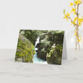 Lawinenschlucht II am Glacier-Nationalpark Karte (Gelbe Blume)