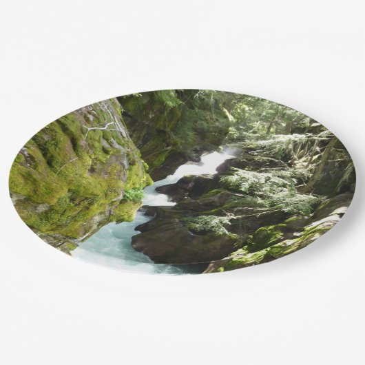 Lawinenschlucht II am Glacier-Nationalpark Pappteller (Schrägansicht)