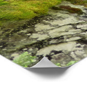 Lawinenschlucht II am Glacier-Nationalpark Poster (Ecke)