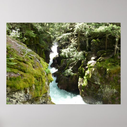 Lawinenschlucht II am Glacier-Nationalpark Poster (Vorne)