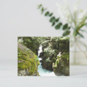 Lawinenschlucht II am Glacier-Nationalpark Postkarte (Stehend Vorderseite)