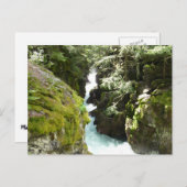 Lawinenschlucht II am Glacier-Nationalpark Postkarte (Vorne/Hinten)