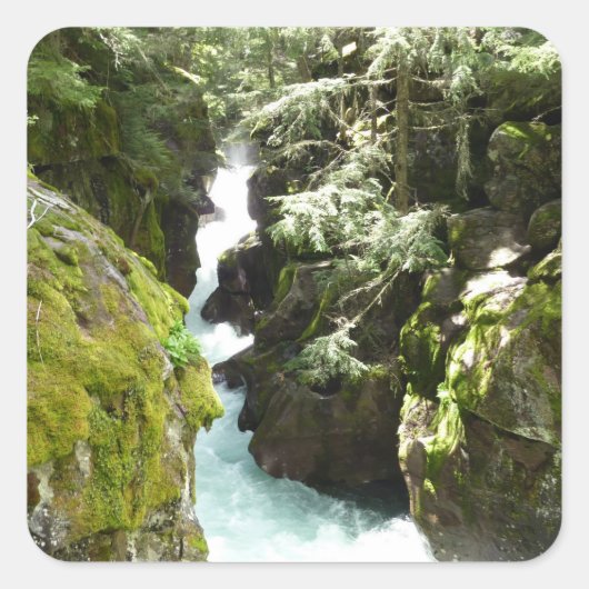 Lawinenschlucht II am Glacier-Nationalpark Quadratischer Aufkleber (Vorderseite)