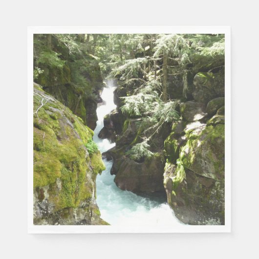 Lawinenschlucht II am Glacier-Nationalpark Serviette (Vorderseite)