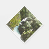 Lawinenschlucht II am Glacier-Nationalpark Serviette (Ecke)