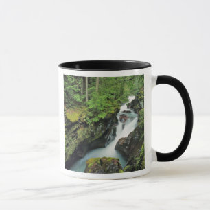 Lawinenschlucht im Gletschernationalpark im Tasse
