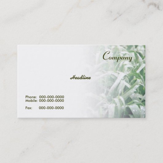 Lawn Business Card Visitenkarte (Vorderseite)