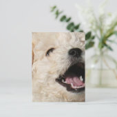 Lawrence Postcard Postkarte (Stehend Vorderseite)