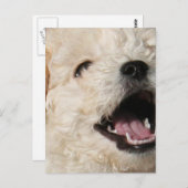 Lawrence Postcard Postkarte (Vorne/Hinten)