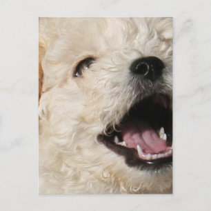 Lawrence Postcard Postkarte