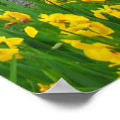 Lawrence-See, Kansas Poster (Ecke)