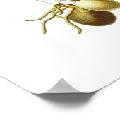 Laxflora Poster (Ecke)