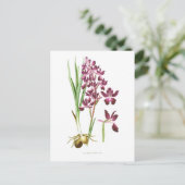 Laxflora Postkarte (Stehend Vorderseite)