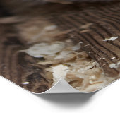 Lay Down Husky Schlittenhund Schöne Kunst drucken Poster (Ecke)