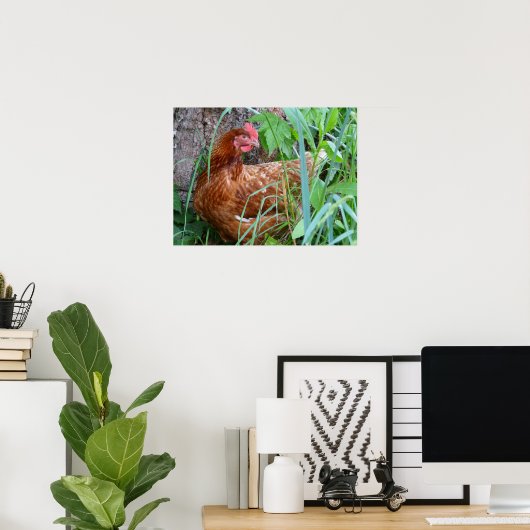 Lay Hen Chicken Poster (Heimbüro)