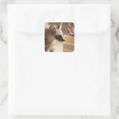 Layer Cake & Hyena Aufkleber (Tasche)