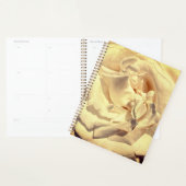 Layered-Rose-Planer Planer (Anzeige)