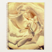 Layered-Rose-Planer Planer (Vorderseite)
