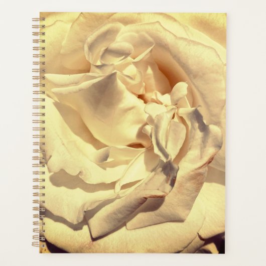 Layered-Rose-Planer Planer (Vorderseite)