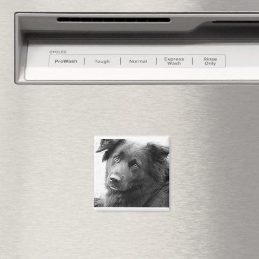 Layla Magnet (In Situ (Geschirrspüler))