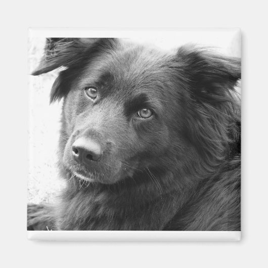 Layla Magnet (Vorne)