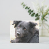 Layla Postkarte (Stehend Vorderseite)