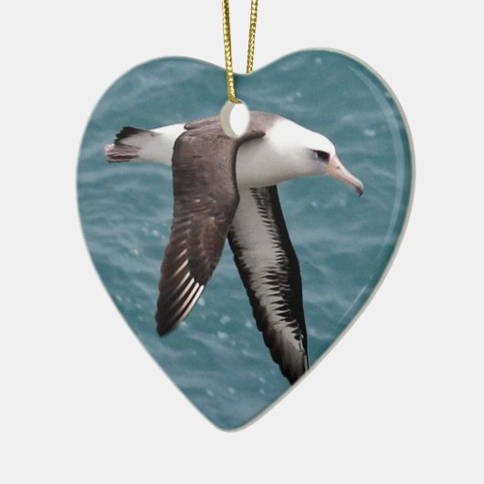 Laysan Albatros Keramik Ornament (Links)